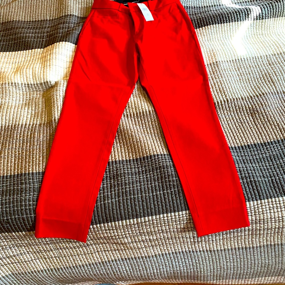 Brand new Sloan BR pants